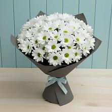 Букет цветов из:  Хризантемы #REPLACE_PRED# Озерном