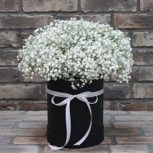 Цветочная композиция из Гипсофила в шляпной коробке в Озерном