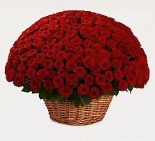 Премиум букет из: Розы в Озерном